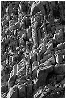 Massive boulder pile, Indian Cove. Joshua Tree National Park ( black and white)