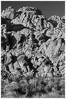 Wall of boulders, Indian Cove. Joshua Tree National Park ( black and white)