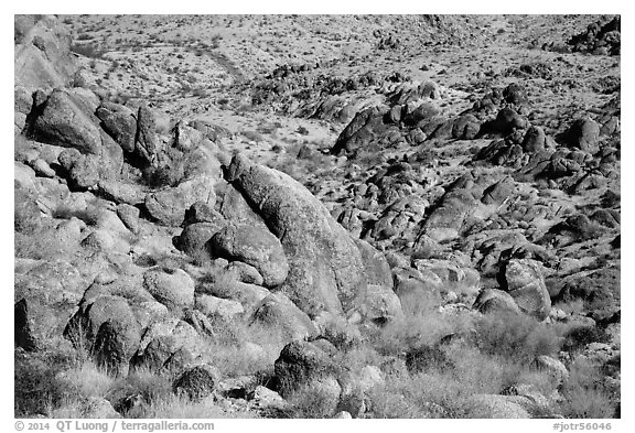 Rocks and desert slope. Joshua Tree National Park (black and white)