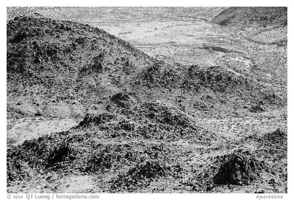 Rocks and valley. Joshua Tree National Park (black and white)