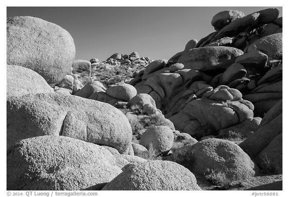 Boulders, White Tanks. Joshua Tree National Park (black and white)