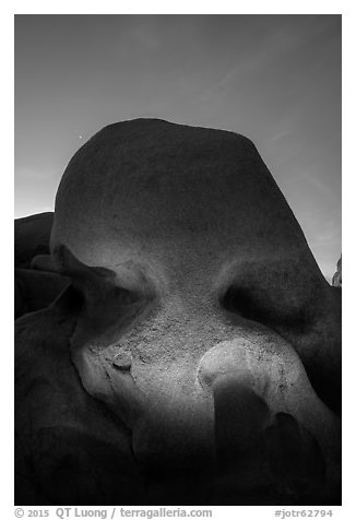 Skull Rock lighted at night. Joshua Tree National Park (black and white)