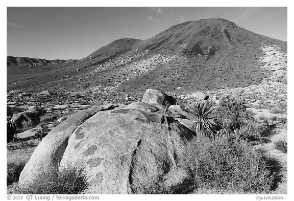 Malapai Hill. Joshua Tree National Park (black and white)