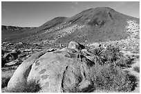 Malapai Hill. Joshua Tree National Park ( black and white)