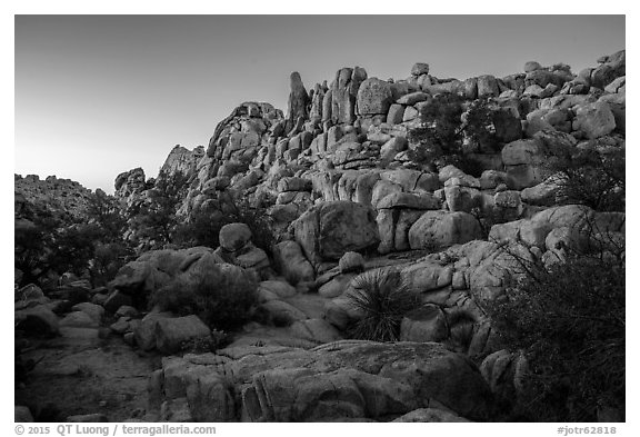 Dusk, Hidden Valley. Joshua Tree National Park (black and white)