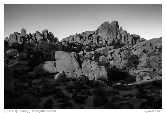 Moonlight, Hidden Valley. Joshua Tree National Park (black and white)