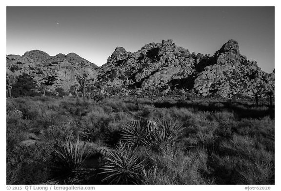 Hidden Valley with light of moonrise. Joshua Tree National Park (black and white)
