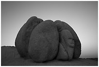 Group of boulders with sphynx head at dawn. Joshua Tree National Park ( black and white)