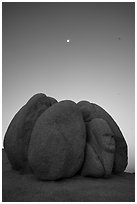 Group of boulders with sphynx and moon at dawn. Joshua Tree National Park ( black and white)