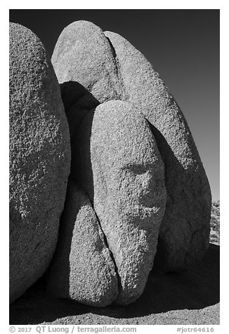 Sphynx-shaped boulder. Joshua Tree National Park (black and white)