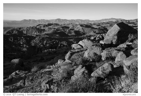 Boulders at base of Mastodon Peak, sunrise. Joshua Tree National Park (black and white)