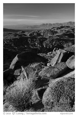 View towards Salton Sea from Mastodon Peak, sunrise. Joshua Tree National Park (black and white)