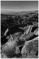 View towards Salton Sea from Mastodon Peak, sunrise. Joshua Tree National Park ( black and white)