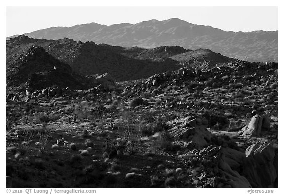 Boulders, ridges, and Eagle Mountain. Joshua Tree National Park (black and white)