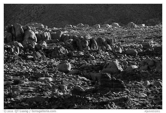Clusters of boulders. Joshua Tree National Park (black and white)
