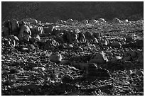 Clusters of boulders. Joshua Tree National Park ( black and white)