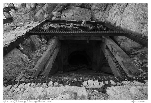 Entrance shaft of Mastodon Mine. Joshua Tree National Park (black and white)