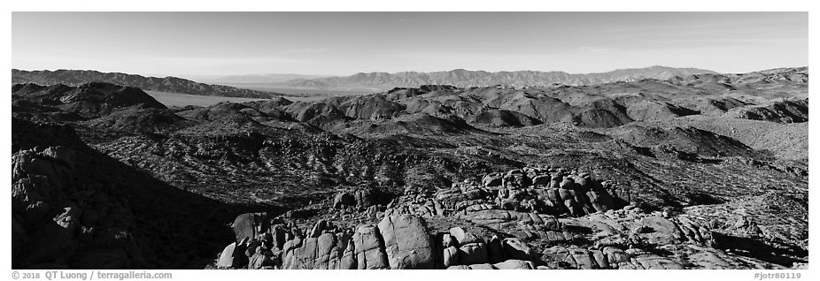 View from Mastodon Peak. Joshua Tree National Park (black and white)