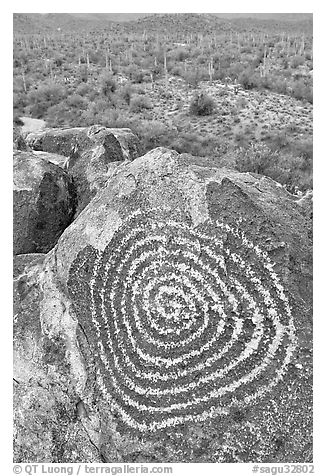 Circular Hohokam petroglyph. Saguaro National Park (black and white)