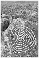 Circular Hohokam petroglyph. Saguaro National Park ( black and white)