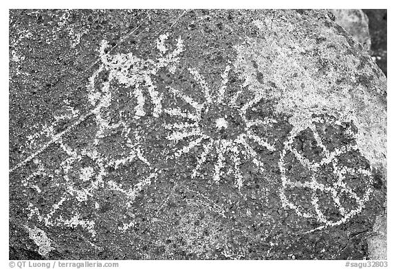 Hohokam petroglyphs. Saguaro National Park (black and white)