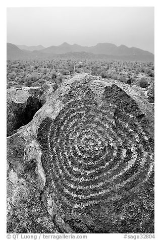 Circular Hohokam petroglyphs on Signal Hill. Saguaro National Park (black and white)