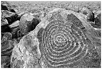 Hohokam petroglyphs on Signal Hill. Saguaro National Park ( black and white)