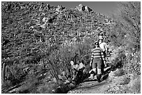 Hiking down Hugh Norris Trail amongst saguaro cactus. Saguaro National Park ( black and white)