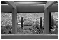 Red Hills Visitor Center. Saguaro National Park, Arizona, USA. (black and white)