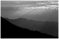 Ridge with saguaro cactus, mountain, and sunrays. Saguaro National Park, Arizona, USA. (black and white)