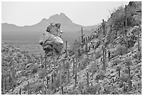 Cactus slope and balanced rock. Saguaro National Park ( black and white)