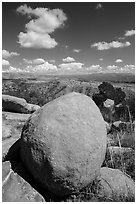 Round boulder, Rincon Mountains foothills. Saguaro National Park ( black and white)