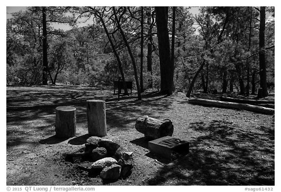 Happy Valley Campground. Saguaro National Park (black and white)