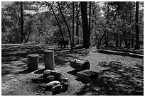 Happy Valley Campground. Saguaro National Park ( black and white)