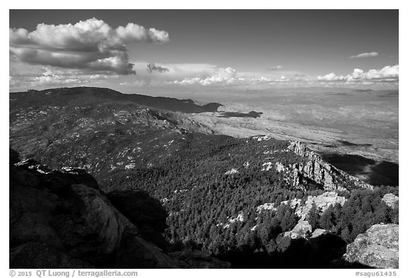 Northeast view over forest and desert from Rincon Peak. Saguaro National Park (black and white)