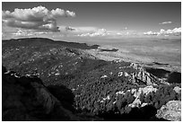 Northeast view over forest and desert from Rincon Peak. Saguaro National Park ( black and white)