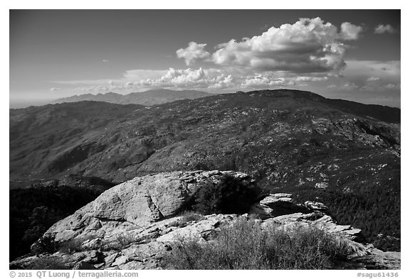 Mica Mountain from Rincon Peak. Saguaro National Park (black and white)