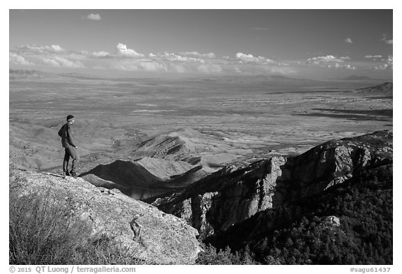 Visitor looking, Rincon Peak. Saguaro National Park (black and white)