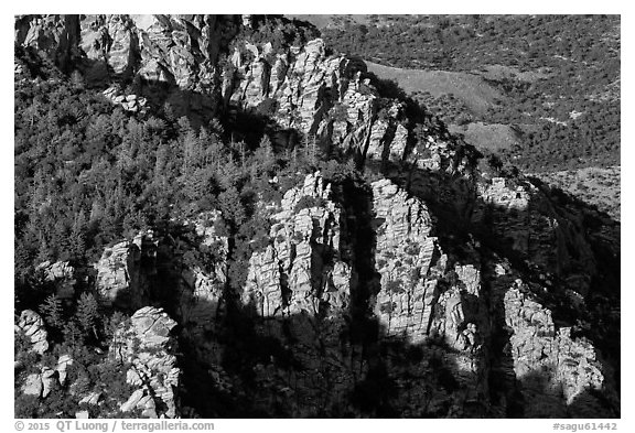 Cliffs, Rincon mountains. Saguaro National Park (black and white)