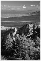 Pine trees, cliffs, and desert from Rincon Peak. Saguaro National Park ( black and white)
