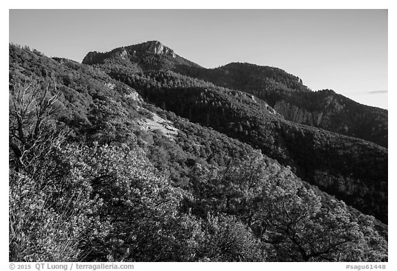 Rincon Peak at sunset. Saguaro National Park (black and white)