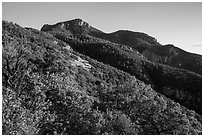 Rincon Peak at sunset. Saguaro National Park ( black and white)