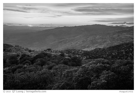 Sunset from Rincon mountains. Saguaro National Park (black and white)