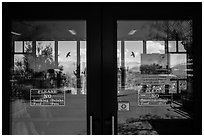 Desert plants, Rincon Visitor Center window reflexion. Saguaro National Park ( black and white)