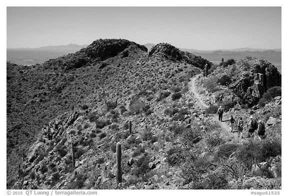 Hikers on trail below Wasson Peak. Saguaro National Park (black and white)