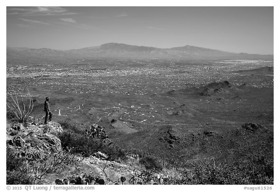 Visitor looking, Wasson Peak overlooking Tucson. Saguaro National Park (black and white)