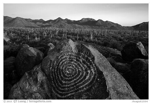 Petroglyphs on Signal Hill and Tucson Mountains at sunset. Saguaro National Park (black and white)
