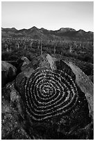 Spiral petroglyph and Tucson Mountains at sunset. Saguaro National Park ( black and white)