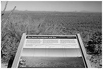Desert Ecosystem interpretive sign. Saguaro National Park ( black and white)
