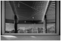 Red hills and cactus, Red Hills Visitor Center window reflexion. Saguaro National Park ( black and white)